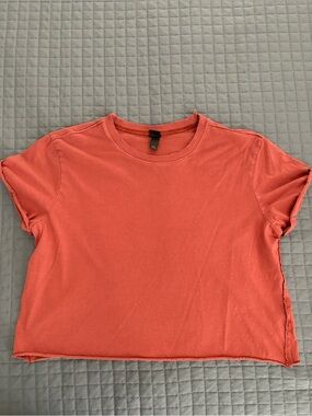 wild fable Burnt Orange Cropped Tee